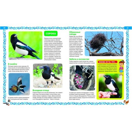 Big book about birds. Illustrated encyclopedia-11