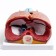 Match "Human breasts" collapsible 27*20*11cm