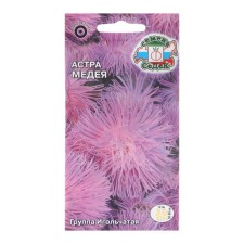 Flowers of Astra 