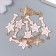 Decor for creativity Metal, enamel "Star rod" white-pink 2.8x1.3 cm