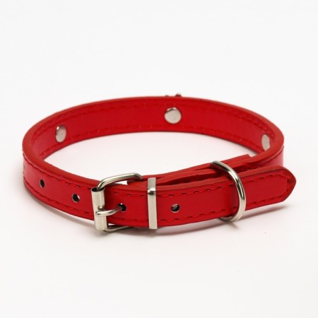 Collar "crown" with metal decor and rhinestones, 36 x 1.4 cm, Osh 24-31, red-1