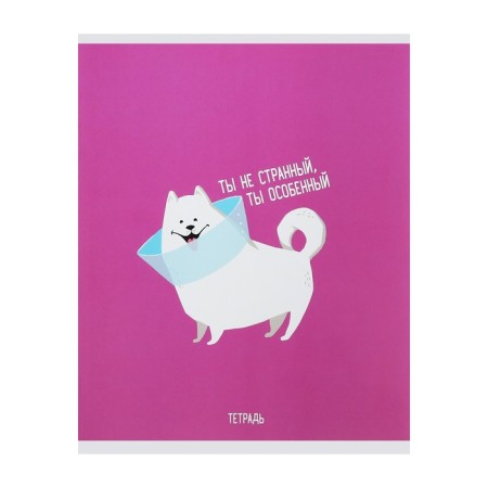 Notebook of 48 sheets in Calligrata's “It is good to be a dog”, cover coated cardboard, offset block, mix-5