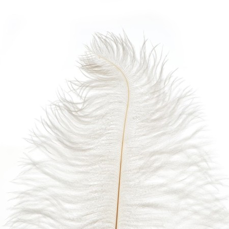 Feather for decor, length: from 45 to 50 cm, white color-5