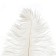 Feather for decor, length: from 45 to 50 cm, white color