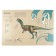 In the world of dinosaurs. Book with windows. Usova I.V.