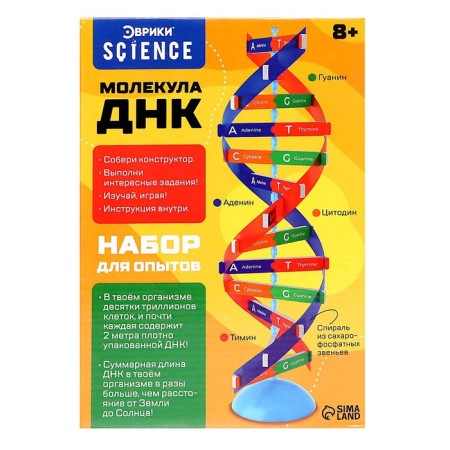 Set for experiments "Molecule DNA"-6