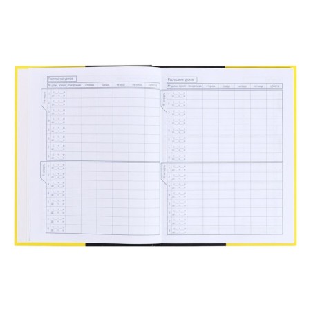 Universal diary for grades 5-11 Black & Yellow, solid cover, glossy lamination, 48 sheets-5