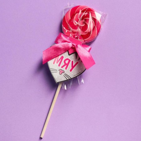 Lolling on the Miau stick, taste: Raspberry, 15 g.-3