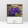 Laminated "violet" package 26x32x12