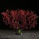 Decor for the Aquarium "Coral Plant", 34 x 10 x 28 cm
