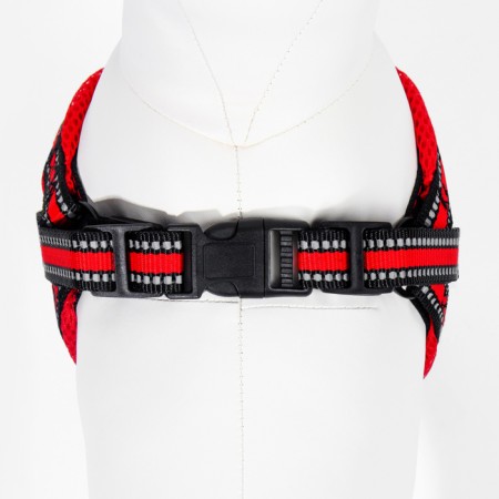 The ammunition set is soft, reflective, leash 120 x 2 cm, Osh 25-72 cm, red-6