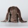 Soft toy "gentleman LU", hare