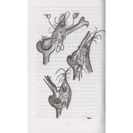 Muscles. How are you?, Stipple A., Regitnig-Tillian N.-3