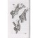 Muscles. How are you?, Stipple A., Regitnig-Tillian N.