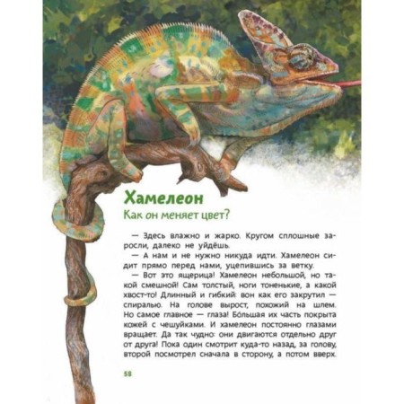 Dinosaurs and other reptiles. Elena Kachur-4