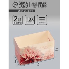Box for 2 cupcake with a transparent lid, 