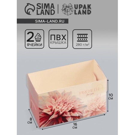 Box for 2 cupcake with a transparent lid, "Present", 16 × 8 × 10 cm, confectionery packaging