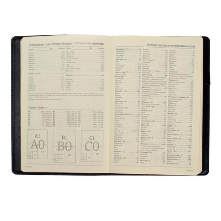 Diary Semi -dated A5, 208 PROFY sheets, reclaid leather, replaced block, gold cut, black-8