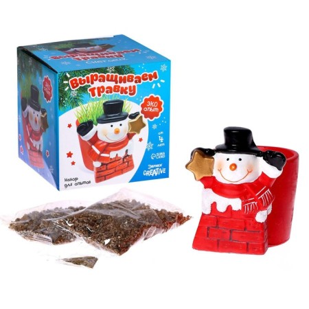 Set for experiments “grow grass”, snowman-1