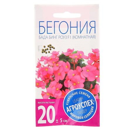 Seeds of indoor flowers Begonia "Bada Bing Rose", 10 pcs.