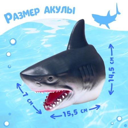 The soft figure of the animal "Shark" is put on hand-1