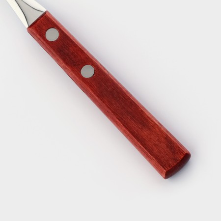 Tree of stainless steel “eco steak”, h = 19.5 cm, thickness 1.5 mm-6