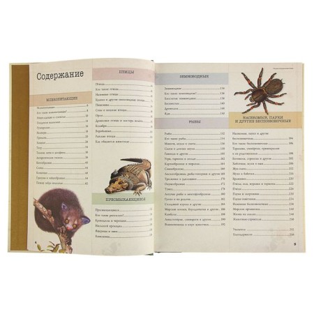 Children's Encyclopedia "Animals". Volcit P.M., Stepanova L.V.-4