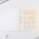 An objective note 48 sheets, A5, Cat, with reference materials “September 1: English”, cover coated cardboard 230 gr., Inner block in a cage 80 gr., Beliac 96%, block No. 1.