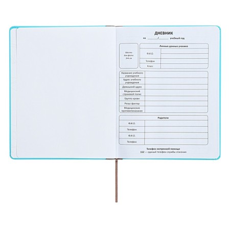 Universal diary for grades 1-11 Excellent, solid cover of artificial leather, silkography, lies, 48 ​​sheets, blue-3