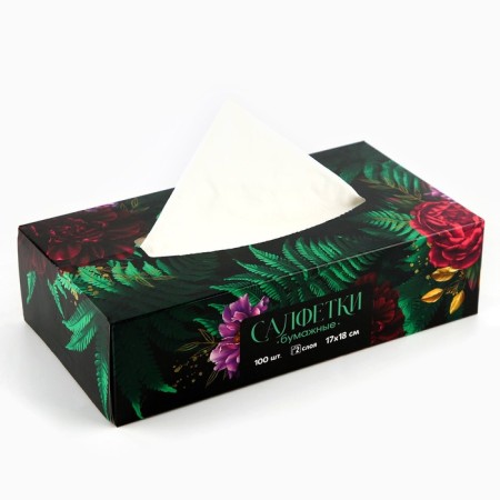 Paper napkins in the box "Botanika", 100 pcs, two -layer-4