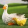 Garden figure "Duck with a duck" 23x15x20cm ////