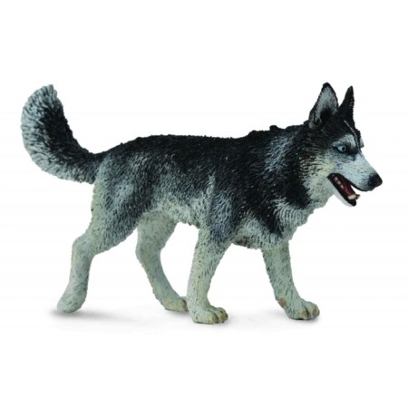 Figure "Siberian Laika", L