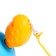 Clothing toy "Fun Krabik", Mix colors