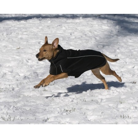 Fleet jacket Dog Gone Smart Olympia Softshell Puffy, R 22, black-1