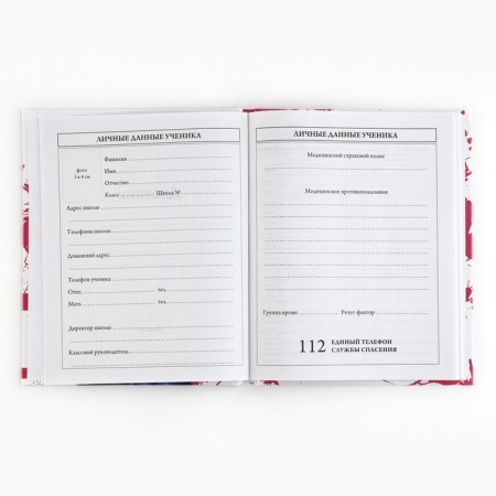 School diary 5-11 grade, in a solid cover, 48 liters. "Style"-2