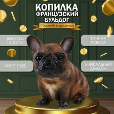 The piggy bank 