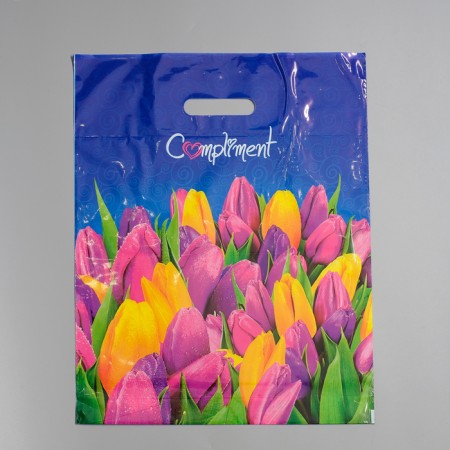 Package "Compliment", polyethylene with a cut pen, 60 μm 38x47 cm-1