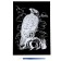 Estra "hawk" silver