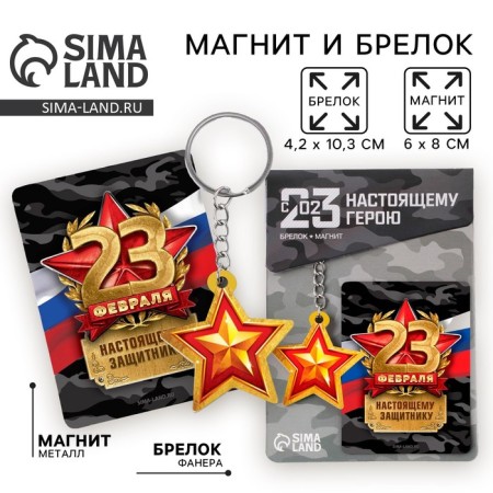 Magnet and keychain "defender", set 2 items