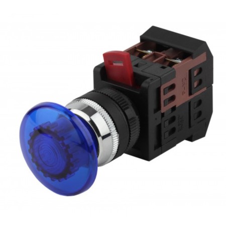 BBG30AA-K07E AE-22 Era button Blue D22MM 1Z+1R