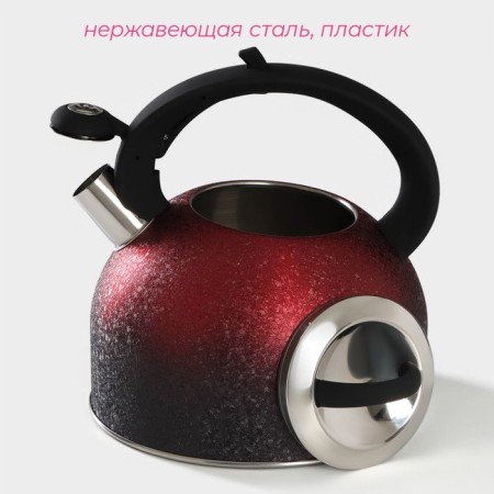 A kettle with a stainless steel whistle Snow, 3 l, induction, red color-1