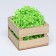 Filling paper, green linden, 100 g