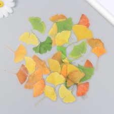 Stickers for creativity plastic 