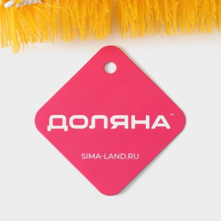 Brozshik for dishes of share, 30 × 5 cm, color mix-6