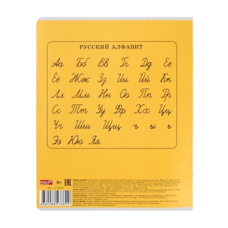 A notebook of 12 sheets in a frequent slant with an additional horizontal line "Classic", cover coated paper, offset block, mix-2