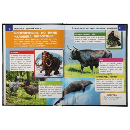 A4 Encyclopedia with augmented reality "Animals of the Red Book of 4D"-2