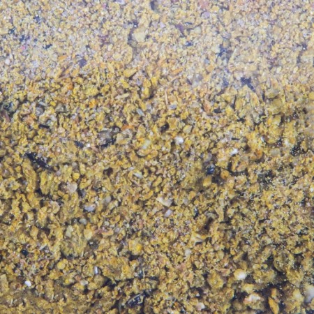 Bait Yaman Active Bite Carp Mod, Yellow color, 900 g-3