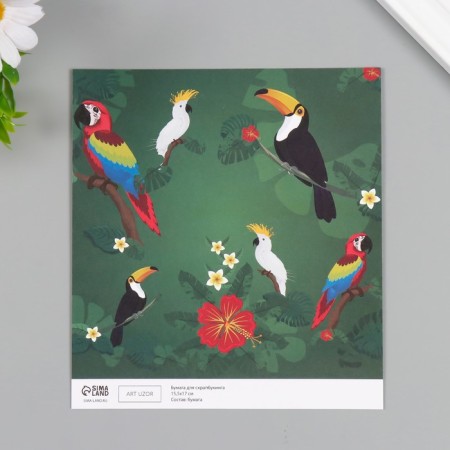 Scrapbooking paper bilateral "parrots, flamingos and zebra" density 180 grams set 10 pcs 15.5x1-2