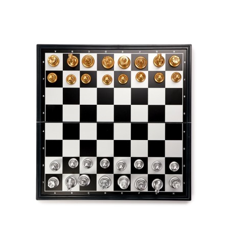 Magnetic chess 25 x 25 cm, King H-5 cm, Pig H-2.5 cm-1