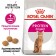 Dry Feed RC Exigent Protein Preference for cats who are picky for feed composition, 2 kg